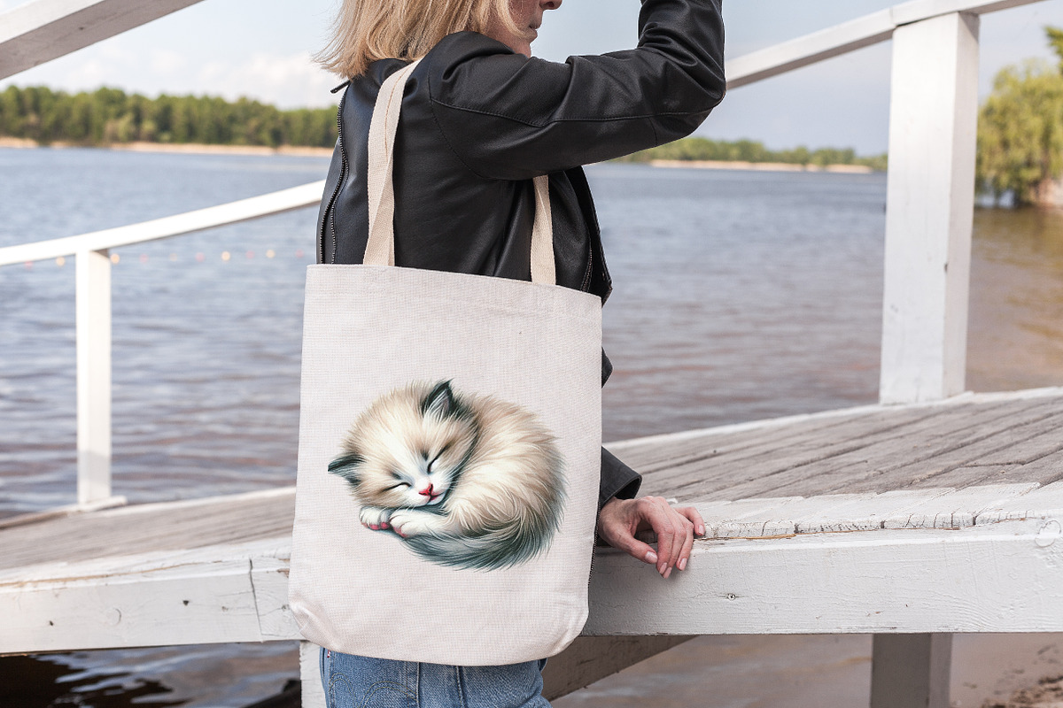 Watercolor Ragdoll Cat Sublimation, a Seasonal Illustration by DreamArtGraphic (Photo 5 of 5)