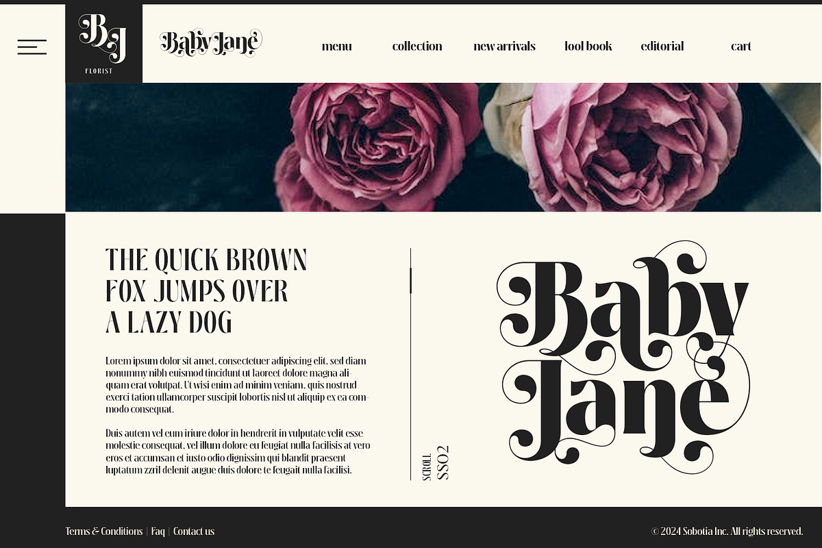Sobotia - Playful Serif family, a Serif Font by creativemedialab (Photo 3 of 10)