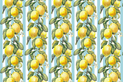 Lemon Garden Seamless Patterns, a Pattern Graphic by Jeanna Draw (Thumbnail 5 of 10)