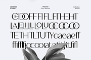 Chiqueta, a Sans Serif Font by zeenesia (Thumbnail 16 of 18)