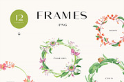 PURA magia de la naturaleza, an Illustration by SoNice (Thumbnail 4 of 12)