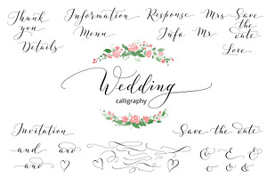 Collection of Wedding calligraphy, a Decorative Illustration by Olga Proz