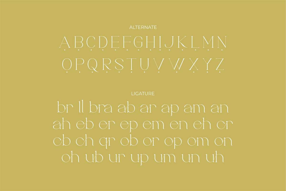 Brillant - Stylish Ligature Serif, a Serif Font by suhadidesign (Photo 10 of 10)