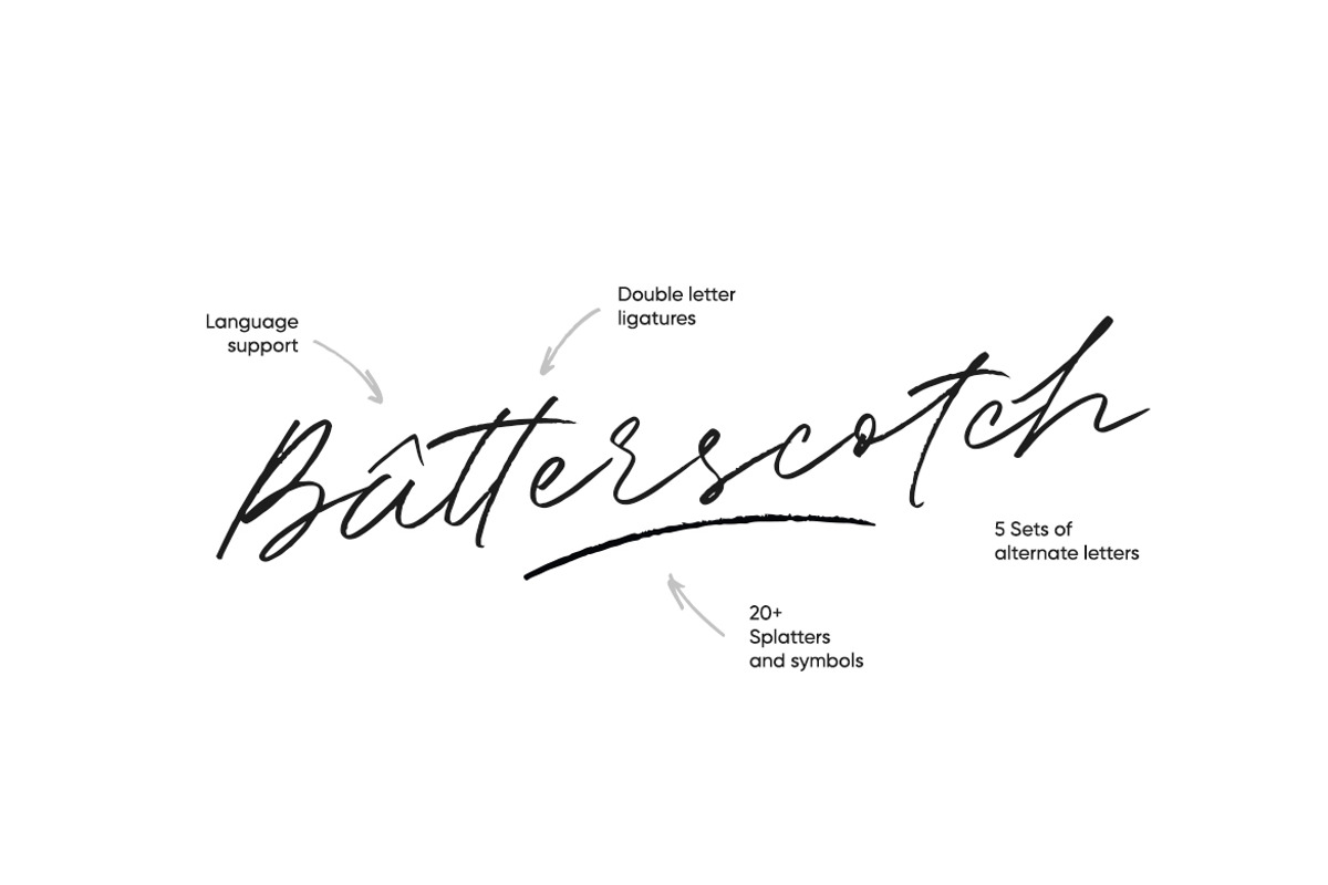 Shadowy Script + Symbols, a Script Font by kavoon (Photo 9 of 12)