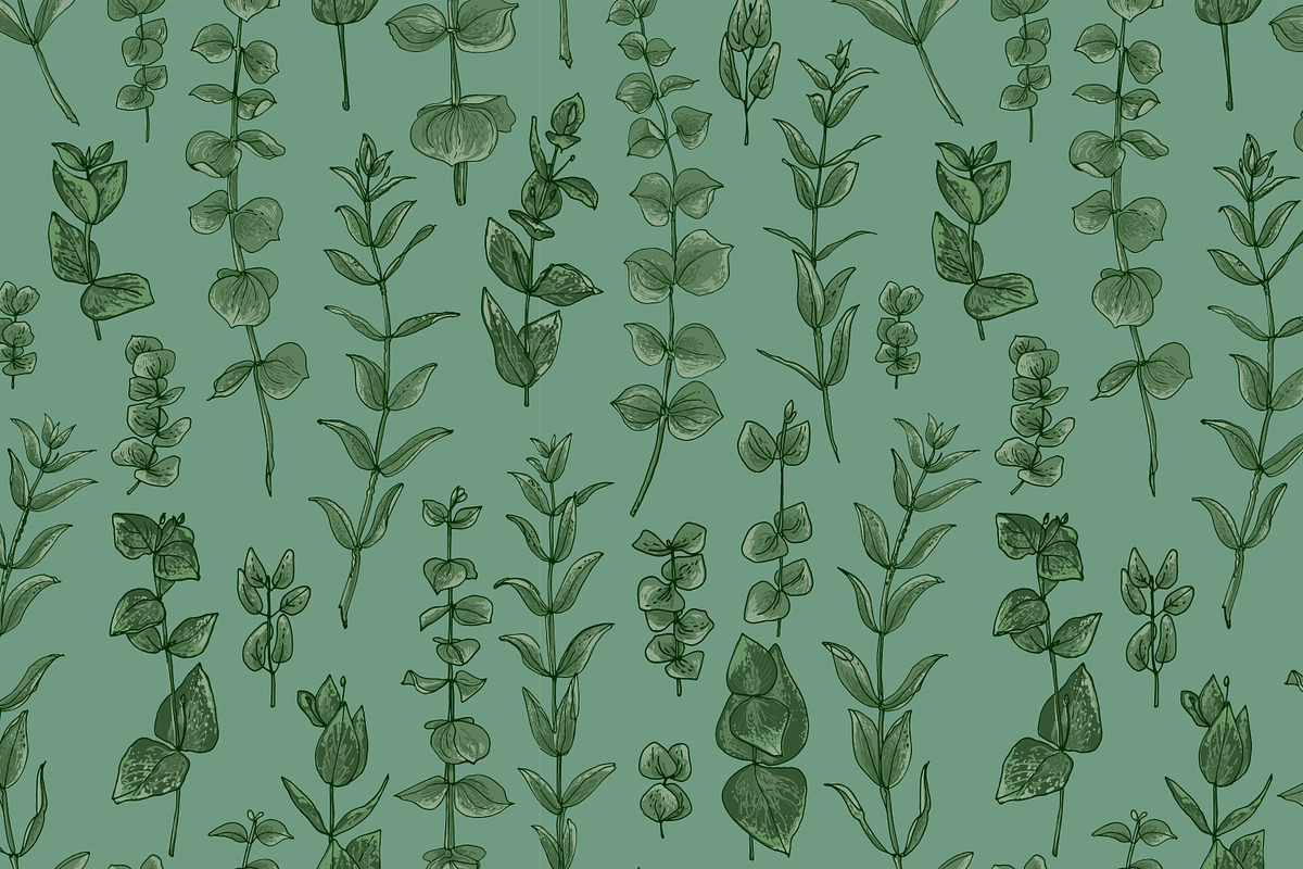 Protea flowers and eucalyptus sketch, an Illustration by irina.vaneeva (Photo 12 of 12)
