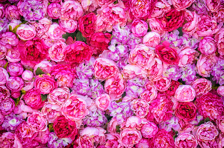 Beautiful background of artificial pink peonies wedding festive decoration