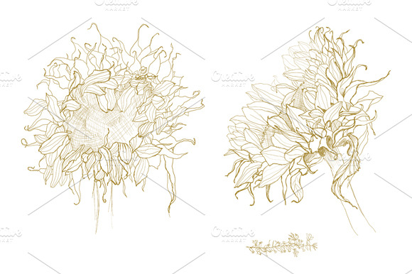 Sunflower Pen Drawing Vector