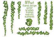Ivy vector set for floral design, a Decorative Illustration by belander (Thumbnail 1 of 4)