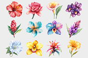 Watercolor Tropical Flowers Cipart, a Seasonal Illustration by Design Market (Thumbnail 4 of 5)