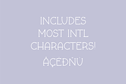 FALL & FLAIR Farmhouse Serif Font, a Serif Font by Blush Font Co. (Thumbnail 5 of 6)