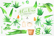Fresh Watercolor Aloe Vera Set, a Healthcare Illustration by beehouse studio (Thumbnail 2 of 9)