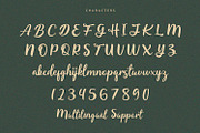 Starella - Script Font, a Font by Alpaprana (Thumbnail 7 of 9)