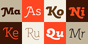 Rogliano Pro, a Slab Serif Font by Untype (Thumbnail 3 of 26)