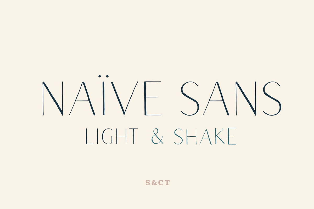 Naive Sans Light & Shake, a Handwritten Font by S&C Type (Photo 1 of 6)