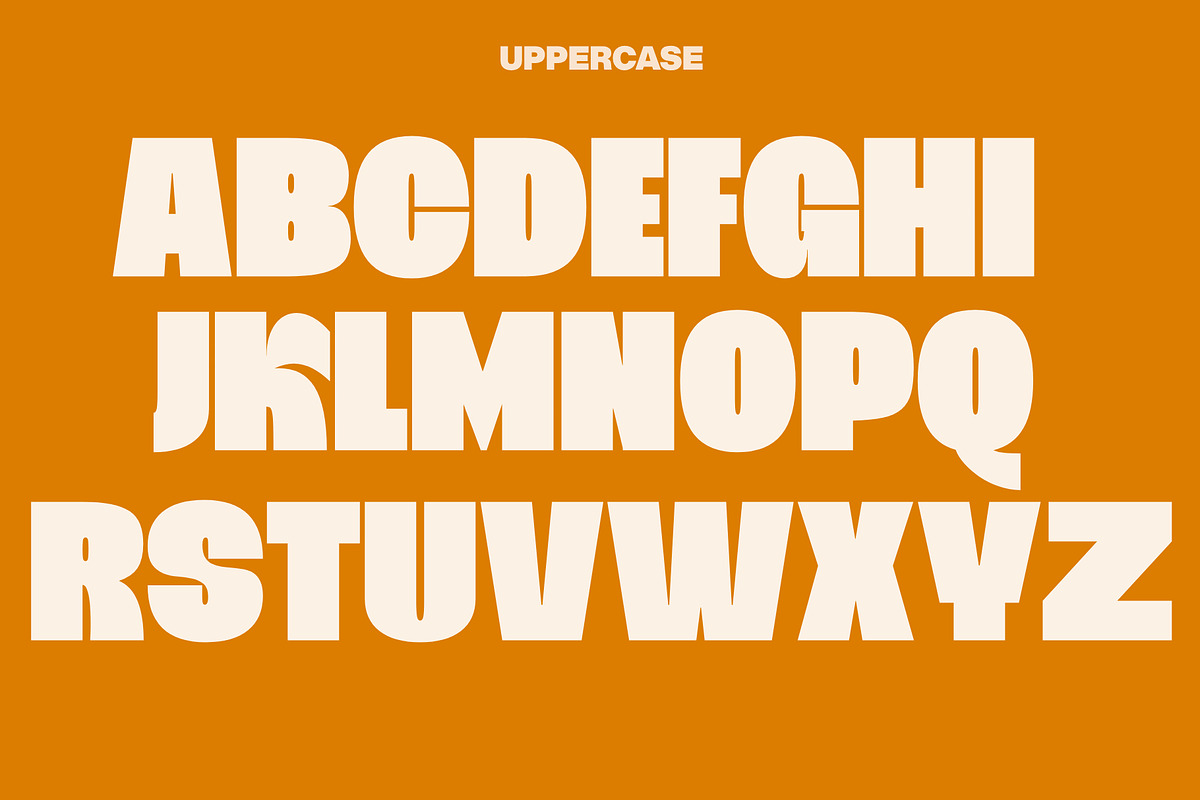 Bleks Display font, a Serif Font by maybefont (Photo 2 of 10)