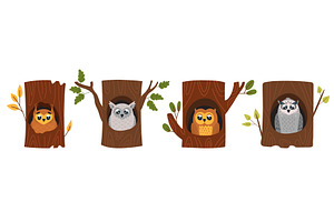 Owls in hollows. Wild forest birds, an Animal Illustration by LadadikArt