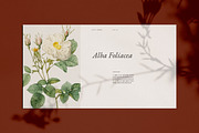 KATLYA - Powerpoint Template, a Presentation Template by Elokka Std. (Thumbnail 4 of 11)