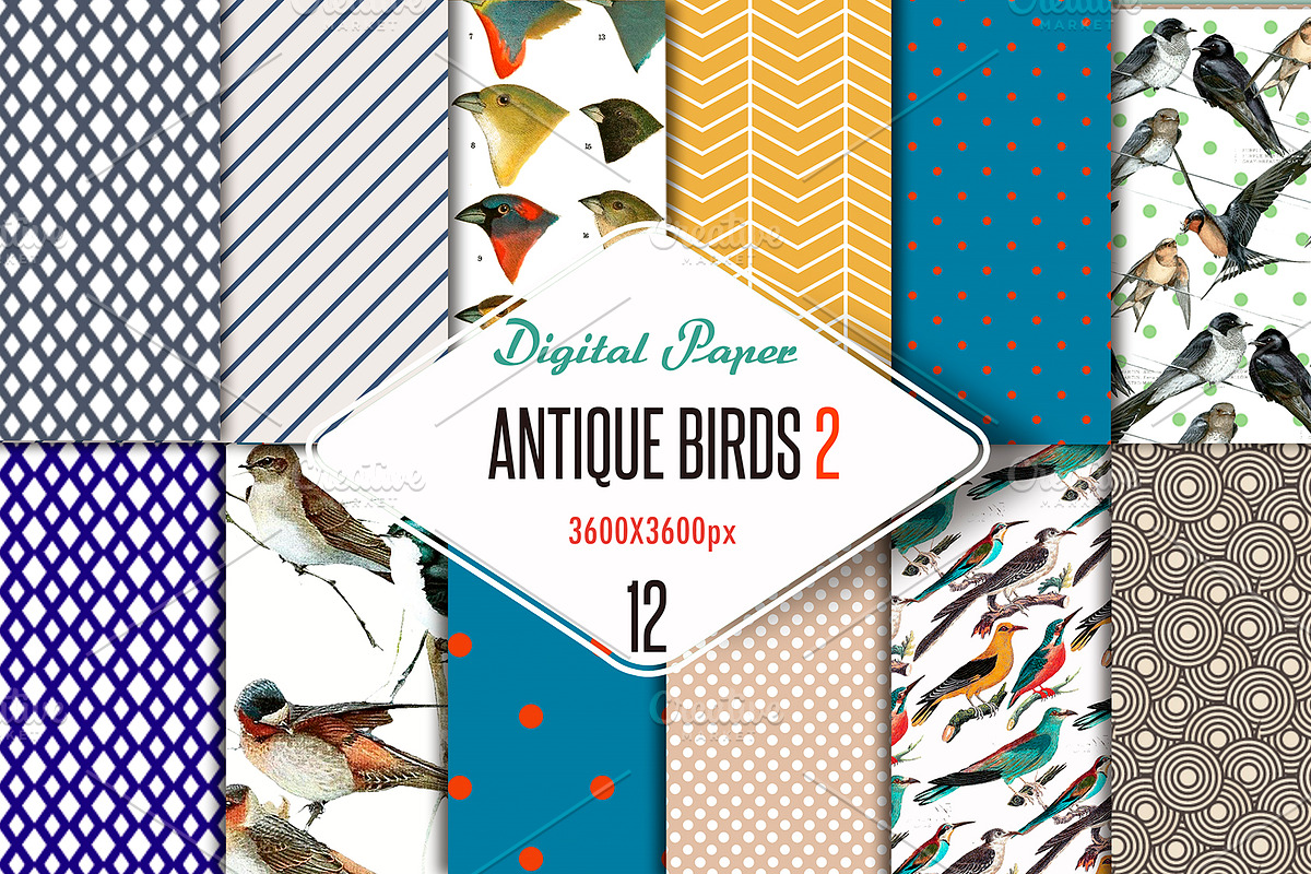 Antique birds 2 Digital Paper, a Texture Graphic by JAY MID IMAGE (Photo 1 of 4)