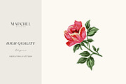 Flora Rose, Watercolor Floral Roses, a Pattern Graphic by Marchel Studio (Thumbnail 2 of 3)