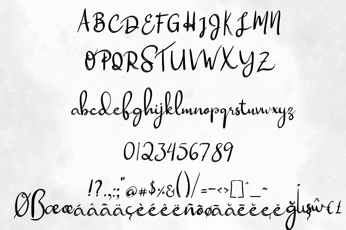 Primrose Modern Brush Script preview 4