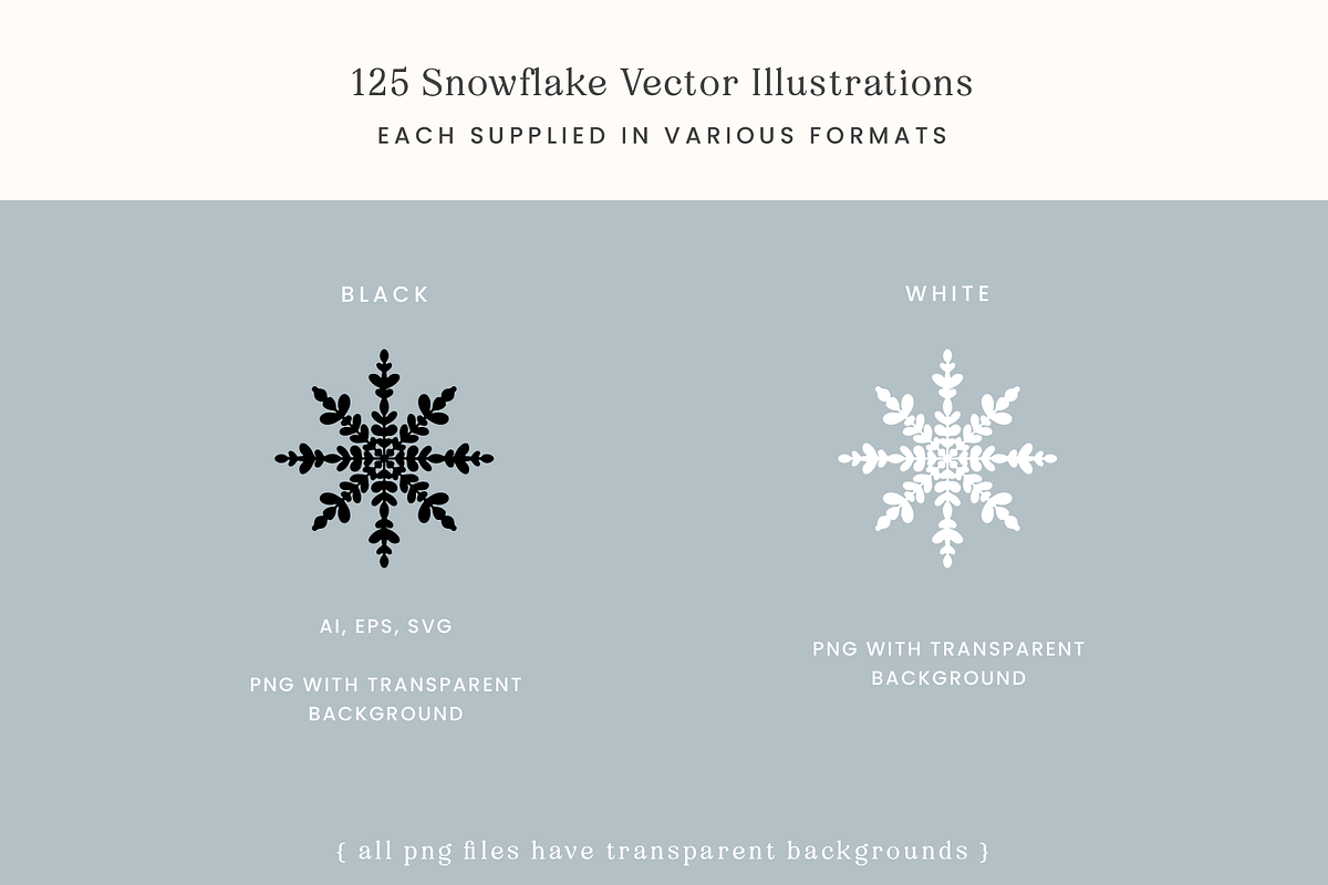 Winter Snowflake Vector Illustration, an Illustration by Emma Webb Studio (Photo 3 of 5)