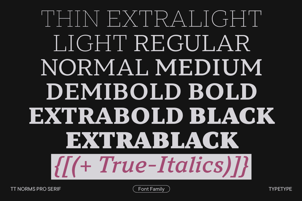 TT Norms Pro Serif, a Serif Font by TypeType (Photo 2 of 15)