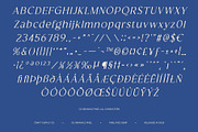 CS Granvile Pixel, a Serif Font by Craft Supply Co. (Thumbnail 8 of 8)