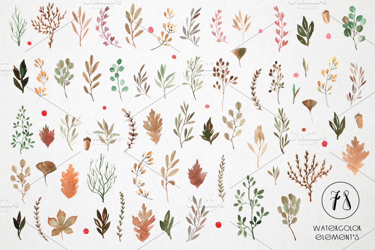 Watercolor autumn leaves and plants, a Decorative Illustration by mikka_kika (Photo 2 of 6)