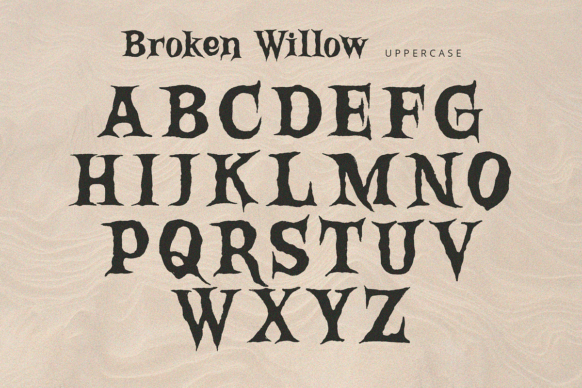 Broken Willow - Display Font, a Handwritten Font by Alpaprana (Photo 7 of 10)