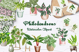 Philodendron Plans Watercolor Set