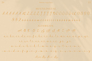 Javin, a Script Font by Flawless And Co (Thumbnail 7 of 11)