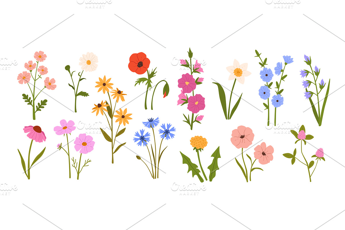 Wildflowers. Blooming garden spring, an Object Illustration by winwin.art