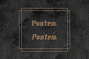 Pontem family-Light*50% off, a Font by ethanissweet (Thumbnail 1 of 8)