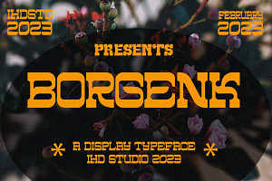 Borgenk A Display Font