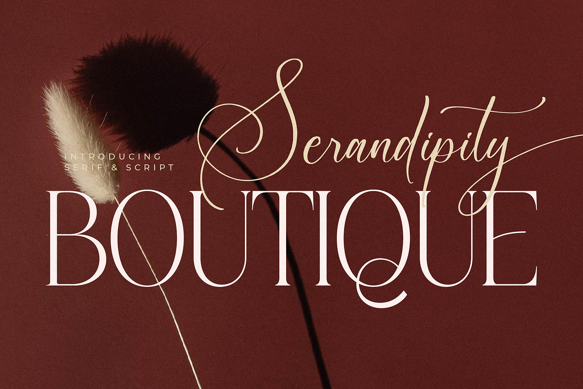 Serandipity Boutique Font Duo, a Serif Font by Storytype Studio (Photo 1 of 15)