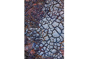 Cracked Earth. An arid landscape