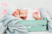 Desktop Lightroom Presets BANEBERRY, an Action Add-On by Victoria Bee Presets (Thumbnail 1 of 10)