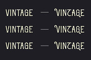 Yearlong Vintage Typeface, a Script Font by Arendxstudio (Thumbnail 3 of 13)