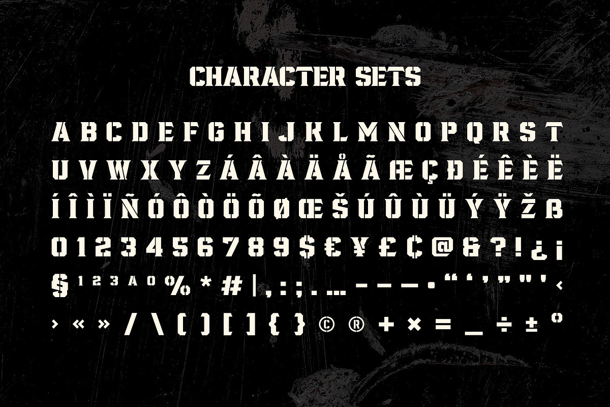 Fortuner - Stencil Font, a Serif Font by Variatype (Photo 9 of 9)