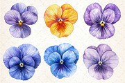 Viola Flower Bloom Clipart, an Illustration by Dream Creation (Thumbnail 6 of 6)