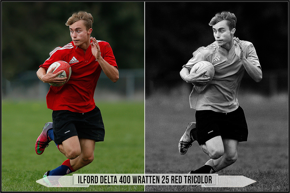 Ilford Films LUTs, a Plug-in Add-On by Raztrend (Photo 20 of 30)