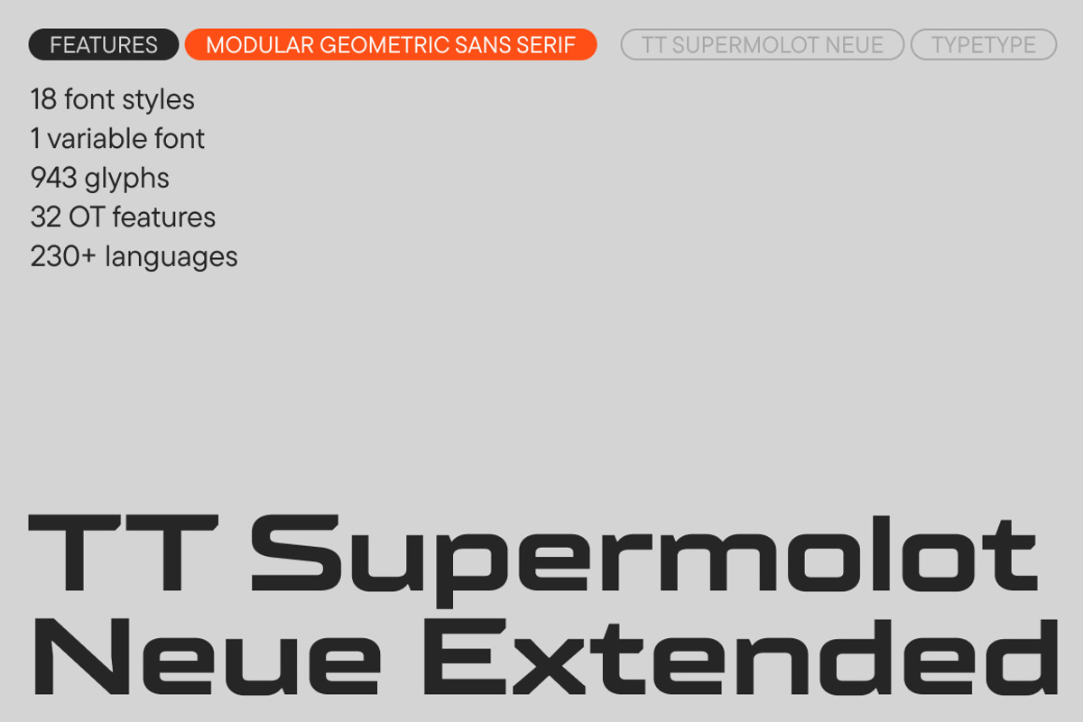 TT Supermolot Neue Extended, a Sans Serif Font by TypeType (Photo 1 of 6)