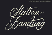 Housing - Classy Script Font, a Script Font by Arendxstudio (Thumbnail 4 of 9)