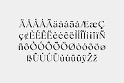 Missionary Elegant Serif Family Font, a Serif Font by UICreative (Thumbnail 9 of 13)