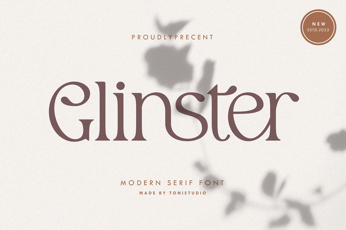 Beautiful Fonts Bundle, a Serif Font by ToniStudio (Photo 12 of 13)
