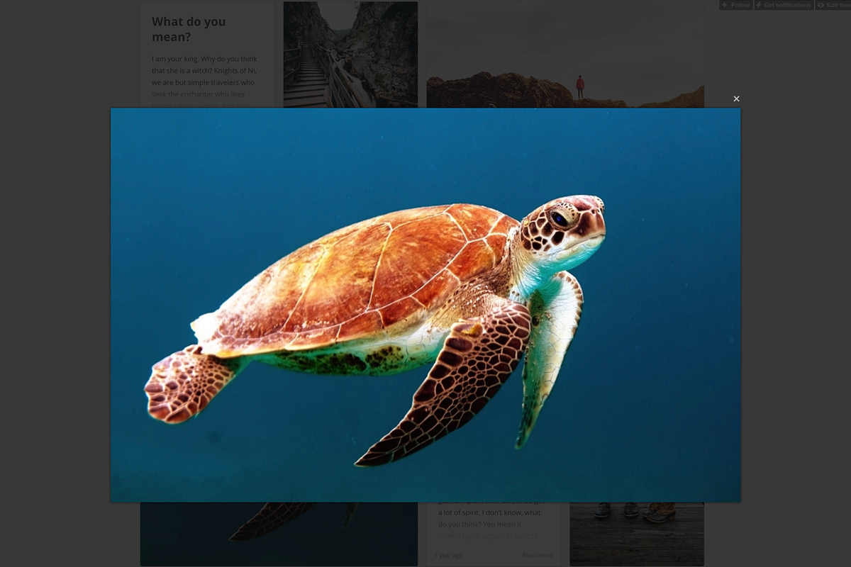 Cuadrado - Premium Tumblr Theme, a Websites & App Template by Dabu Themes (Photo 8 of 9)