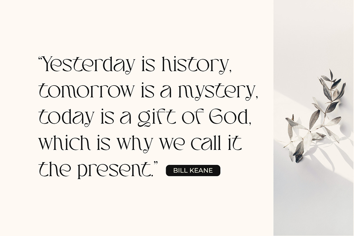 Aveltin Elegant Stylish Serif Font, a Serif Font by Heinzel Std (Photo 13 of 16)