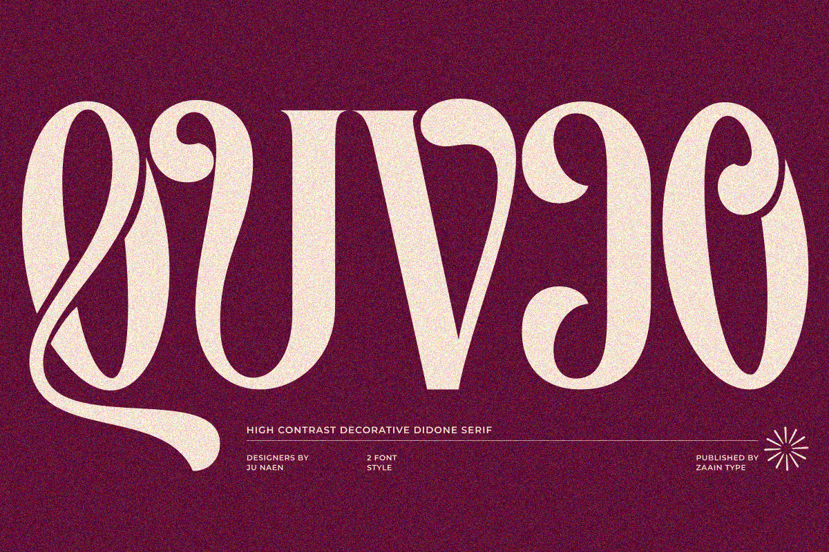 Valeris, a Serif Font by zaaintype (Photo 11 of 11)
