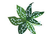 Lilies of the valley, big set., a Decorative Illustration by Orangepencil (Thumbnail 4 of 8)