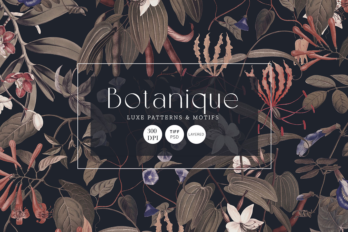 Botanique Luxe Pattern Designs, a Pattern Graphic by TSTUDIO (Photo 1 of 12)